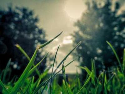 Abandoned building photograph